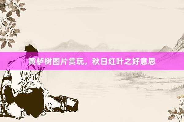 黄栌树图片赏玩，秋日红叶之好意思