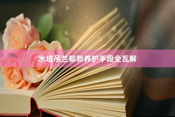水培吊兰郁勃养护手段全瓦解