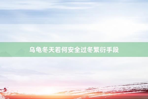 乌龟冬天若何安全过冬繁衍手段