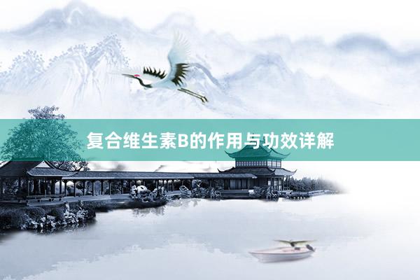 复合维生素B的作用与功效详解